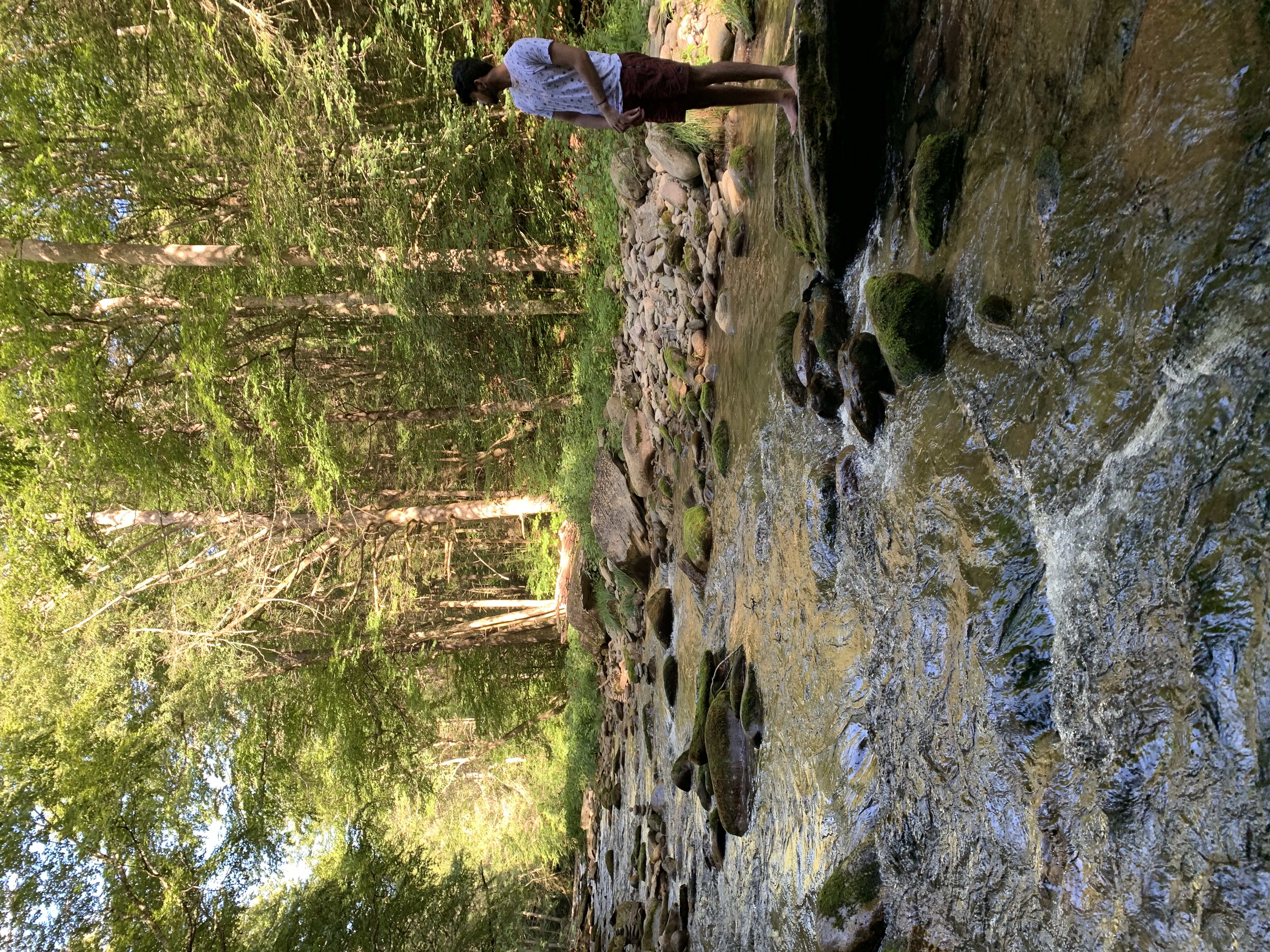 Image of Selwyn George